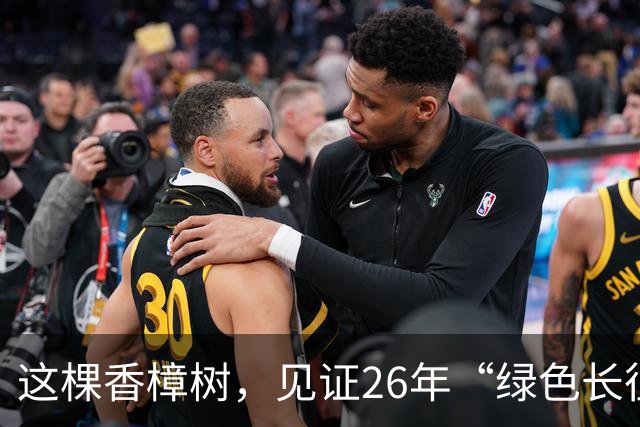 这棵香樟树,见证26年“绿色长征”